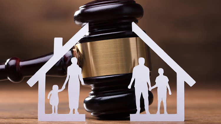 Perito Psicologo Forense Derecho Civil y Familiar