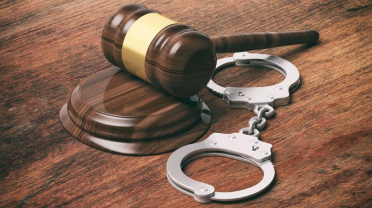 Perito Psicologo Forense Derecho Penal